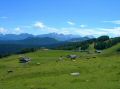 DSCN1616.JPG
